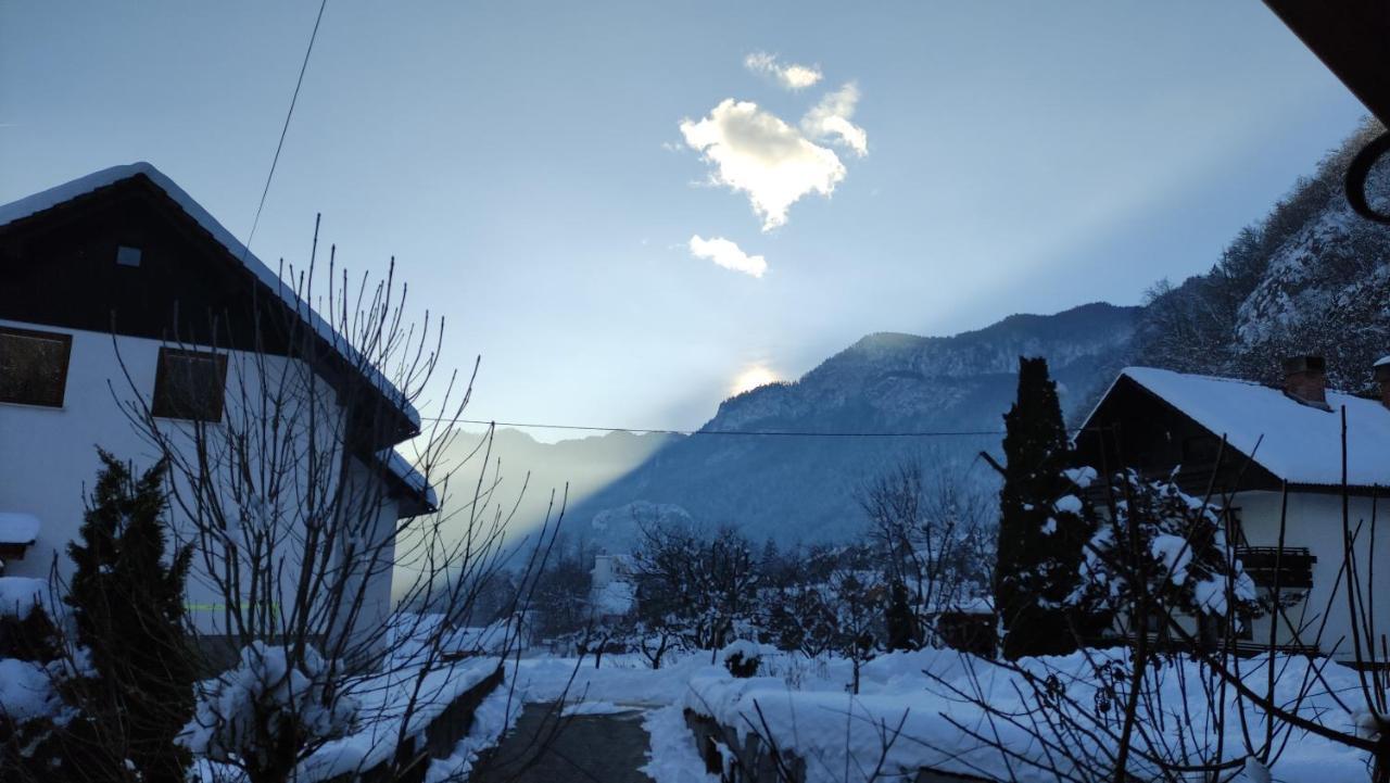 Hotel Alp House Bohinjska Bela Exteriér fotografie