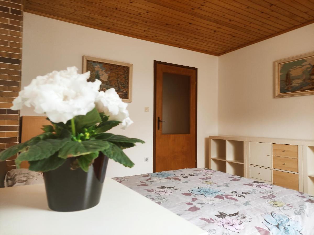 Hotel Alp House Bohinjska Bela Exteriér fotografie