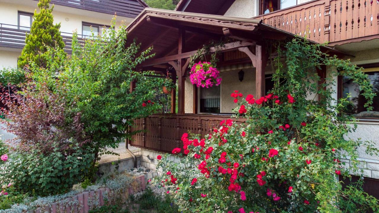 Hotel Alp House Bohinjska Bela Exteriér fotografie